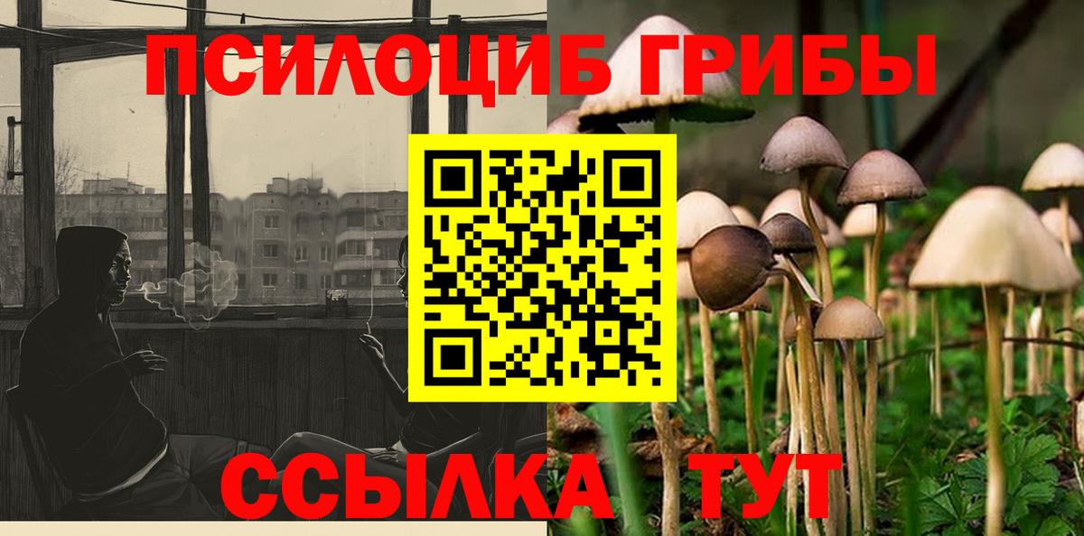 Псилоцибиновые грибы Magic Shrooms Губаха