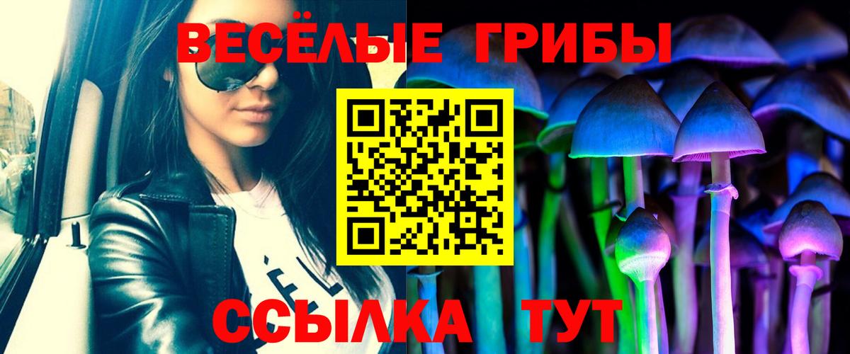 Губаха  Псилоцибиновые грибы GOLDEN TEACHER  Вход с VPN 